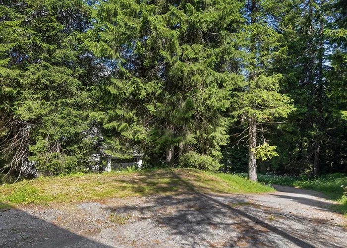 Larice By Interhome Daire San Bernardino