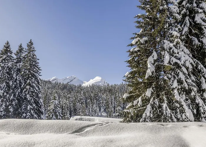 Daire Larice By Interhome San Bernardino