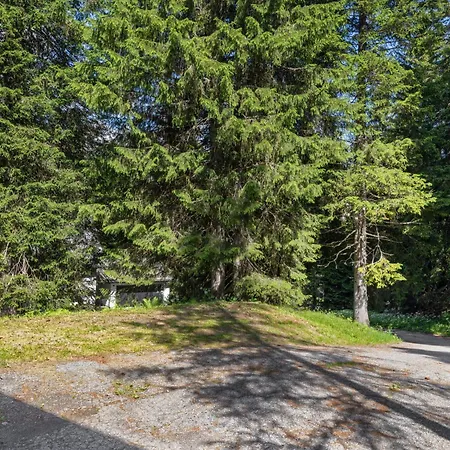 Larice By Interhome Apartment San Bernardino