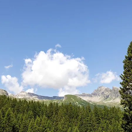 Larice By Interhome Apartment *