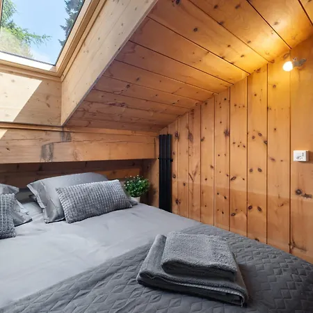 Larice By Interhome Apartment San Bernardino